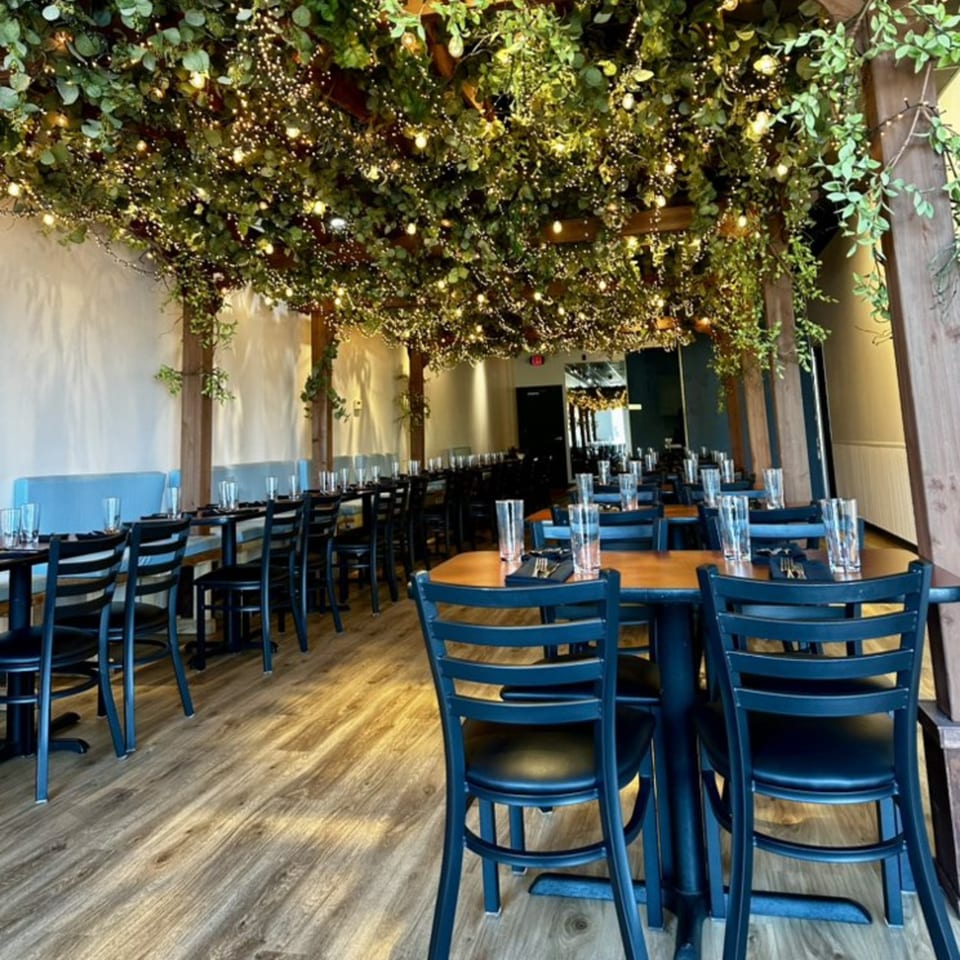 Roti Indian Kitchen dining room with tables, chairs, and a ceiling covered in green foliage and string lights.